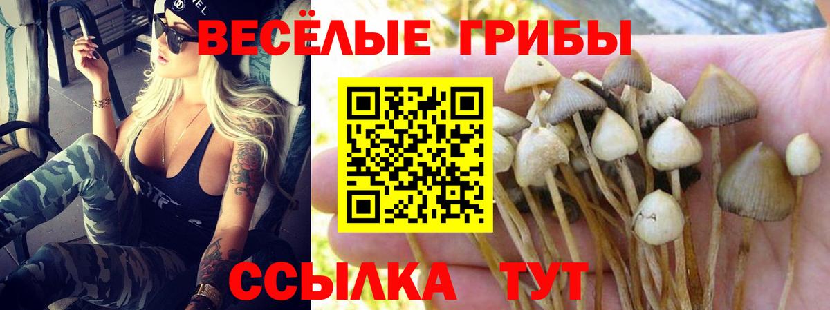 Псилоцибиновые грибы мухоморы  Вход с VPN  Псилоцибиновые грибы Psilocybe  Орёл 